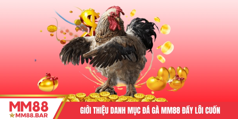 Giới thiệu danh mục Đá gà MM88 đầy lôi cuốn